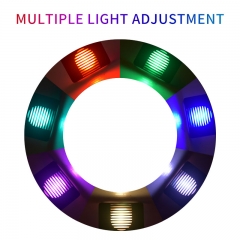 F5542D-RGB Outdoor 0.6W RGB LED Stair Light