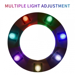 F5542C-RGB Outdoor 0.6W RGB LED Stair Light