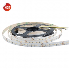 DC24V 240leds/m 2216 Dual White LED Strip