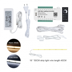 RL-STEP-P5 APP 16 Steps Stair Lighting Controller Kit