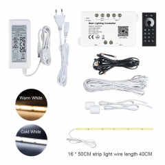 RL-STEP-P4 Main Cable 16-STEP Stair LED Lighting Kit-Plug and Play