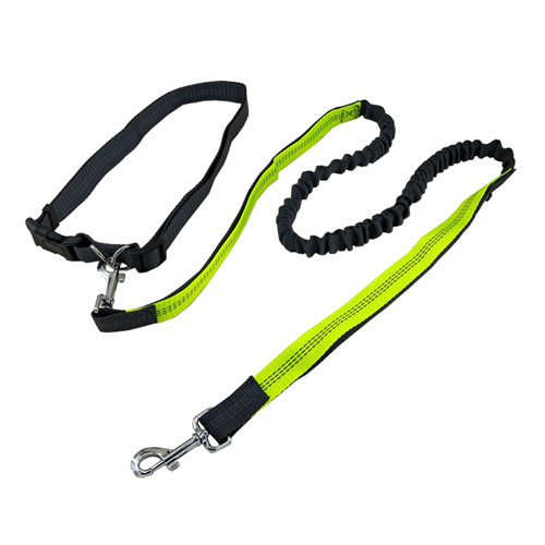 hands dog leash for running