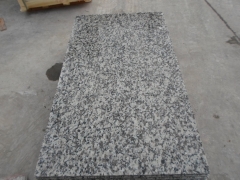 Grey Color G439 Granite Tiles with Polished Finish Way