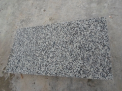 Grey Color G439 Granite Tiles with Polished Finish Way