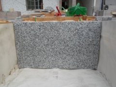 Grey Color G439 Granite Tiles with Polished Finish Way