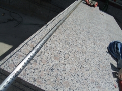 Grey Color G383 Granite Tiles With Nice Price