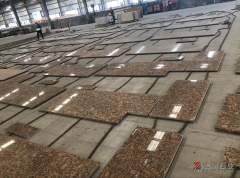 Dalei Stone Wholesale Giallo Ornamental Countertops Golden Color