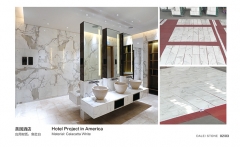 Calacatta White Marble Supply To America