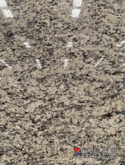 Santa Cecilia Granite Big Slabs Granite Countertops Wholesale