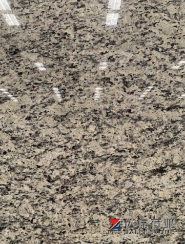 Santa Cecilia Granite Big Slabs Granite Countertops Wholesale