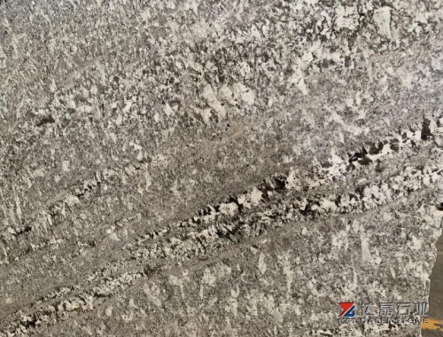 Classical White Sesame Granite Big Slabs Countertops