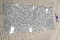 Granite G602 Thin Tiles 610X305X10MM