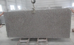 G664 Big Slabs 5cm 2400up x 1100up Polished