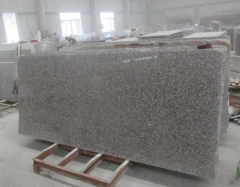 G664 Big Slabs 5cm 2400up x 1100up Polished