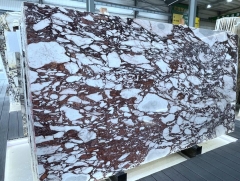 Calacatta Viola More Purple Color Big Slabs Blocks