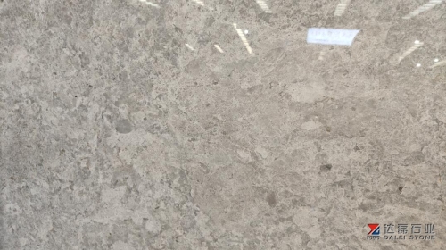 Dora Cloud Grey Marble Big Slabs