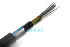 Cabo de fibra óptica, cabo de fibra óptica de tubo solto de pe blindado ao ar livre gyty53