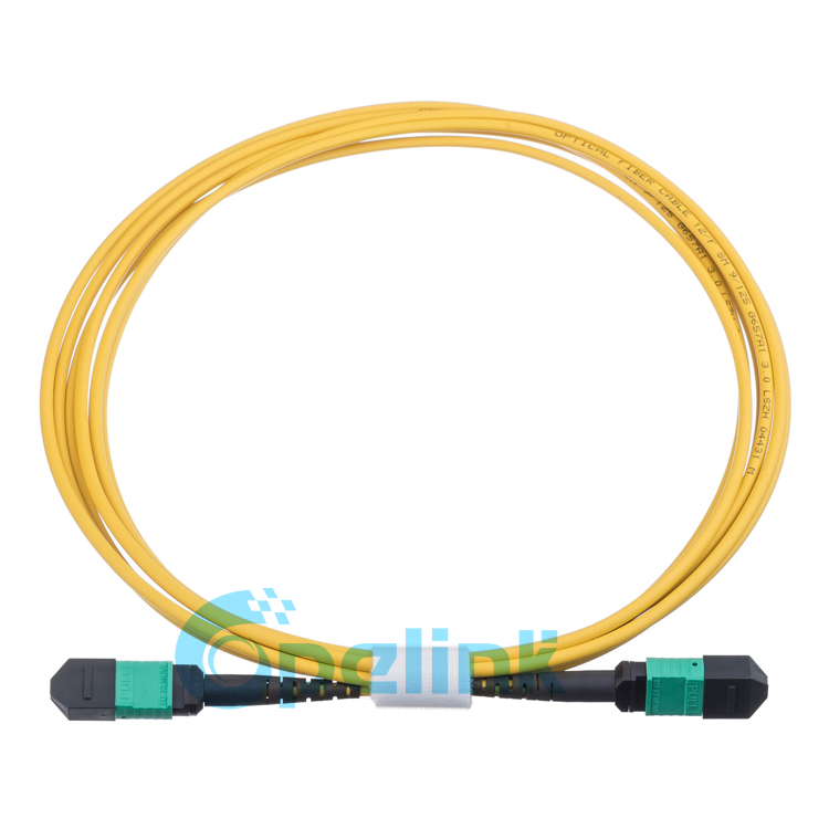 12-Fiber MPO Singlemode Fiber Optic Patch Cable