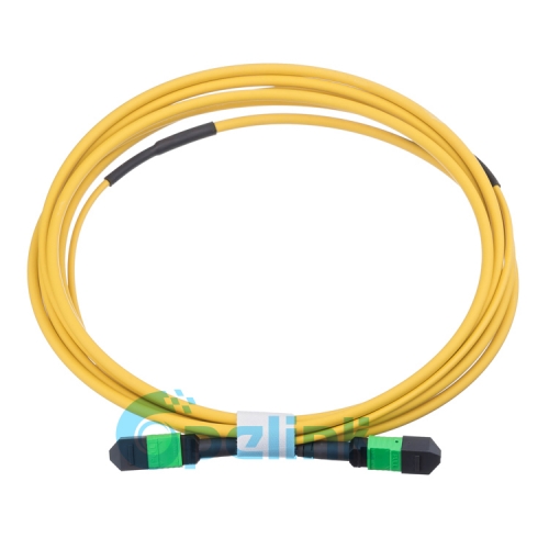 MPO/MTP Cable de fibra redonda Singlemode Cable de parche de fibra óptica