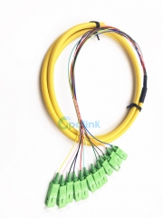 SC/APC Boundle Distribution Fiber Pigtail, SM 9/125 Fanout 0.9mm Optical Fiber Pigtail