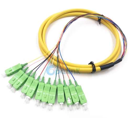SC/APC Boundle Distribution Fiber Pigtail, SM 9/125 Fanout 0.9mm Optical Fiber Pigtail