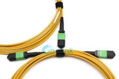 MPO/MTP Trunk Cable, Round Fiber Cable Singlemode Fiber Optic Patch Cord