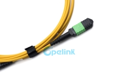 MPO/MTP Trunk Cable, Round Fiber Cable Singlemode Fiber Optic Patch Cord