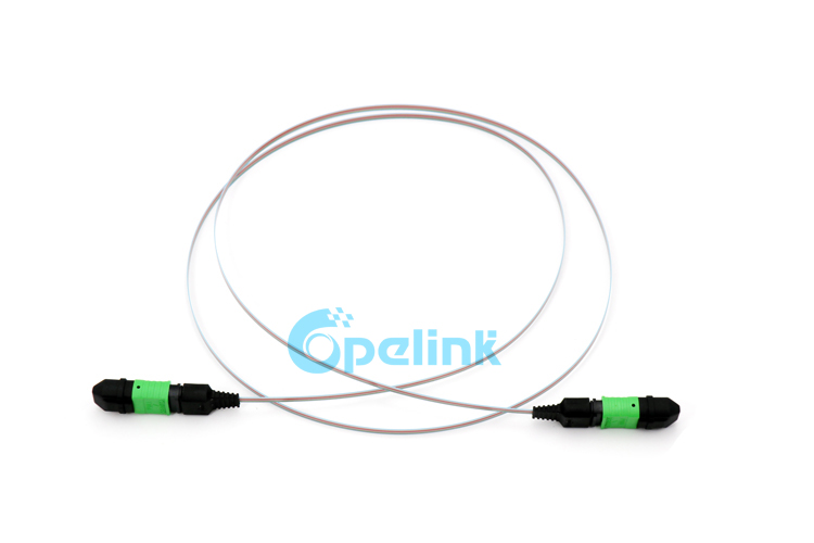 MPO to MPO Fiber jumper, Ribbon Cable 
