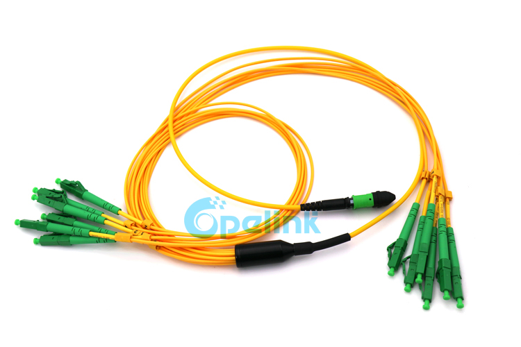 12 fiber Lc/apc - MPO Patchcord