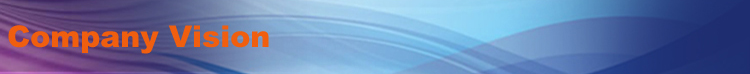 Company Vision - OPELINK