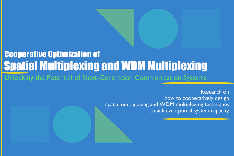 Cooperative Optimization of Spatial Multiplexing and WDM Multiplexing