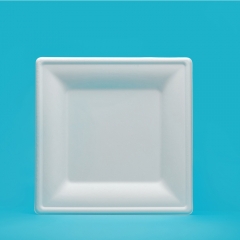 10 inch square plate