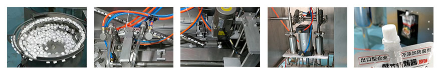 360 view ZLD-A spout pouch filling and capping machine