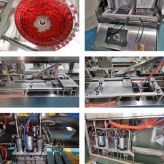 ZLD-A1 filling and capping machine