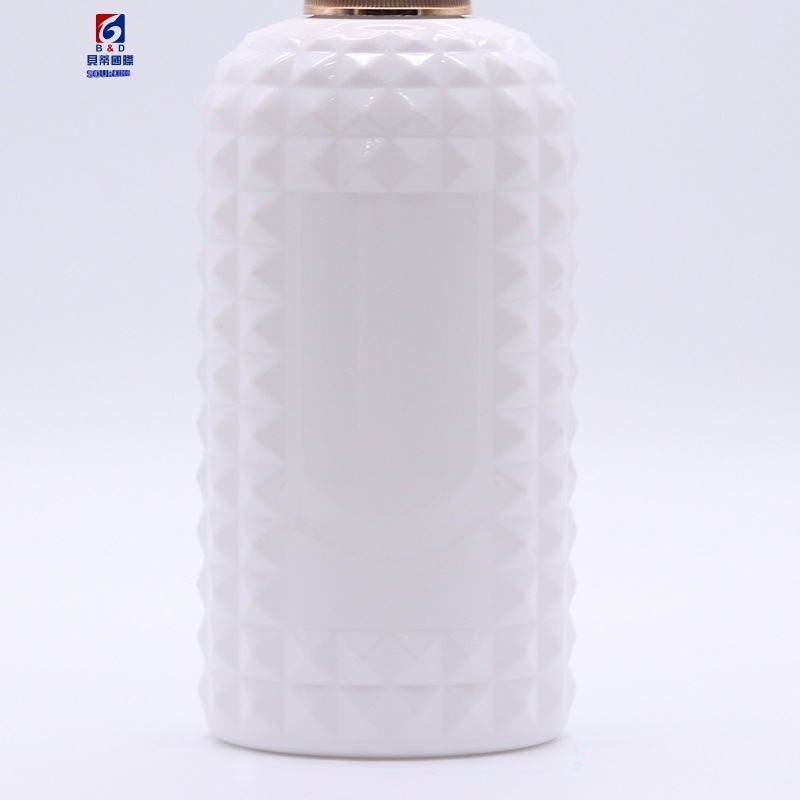 450ML High Grade Plastic Lotion Bottle