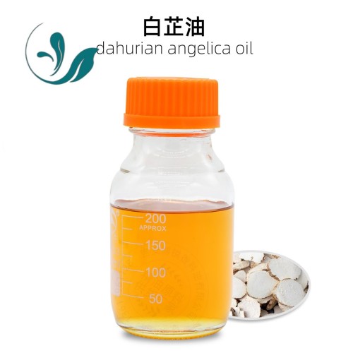 Angelica dahurica extract