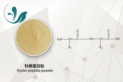 Oyster Peptide