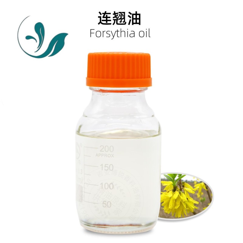 Weeping forsythia oil