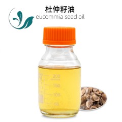 Angelica seed oil
