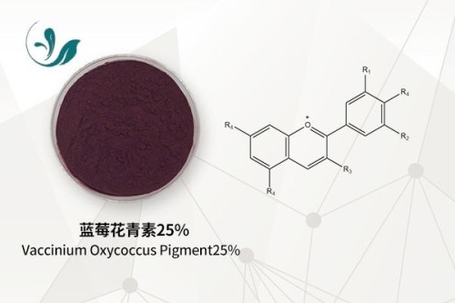 Blueberry Anthocyanins