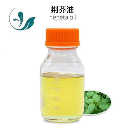 Nepeta oil