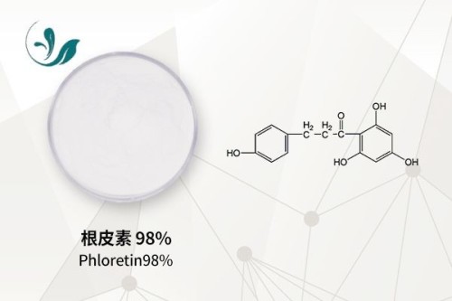 Phloretin