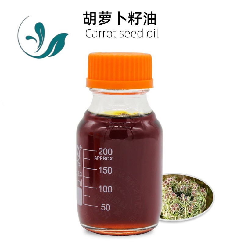 Carrot Seed Oil