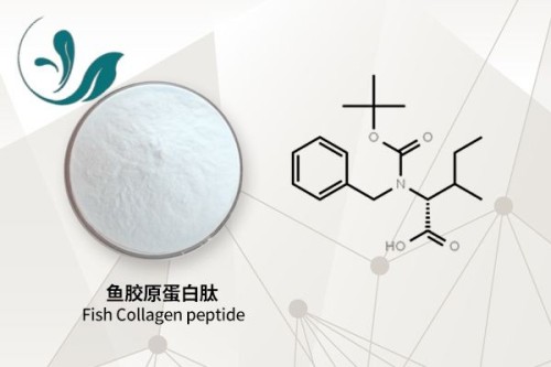 Fish Collagen