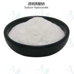 Sodium hyaluronate