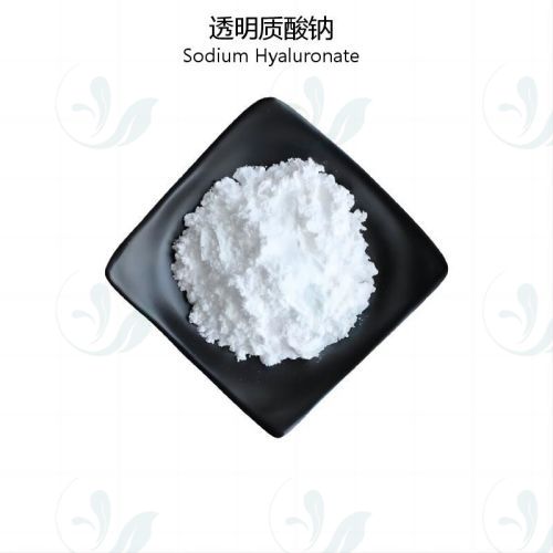 Sodium hyaluronate