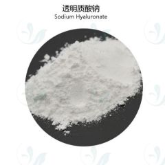 Sodium hyaluronate