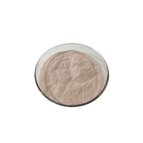Fructus mume juice powder