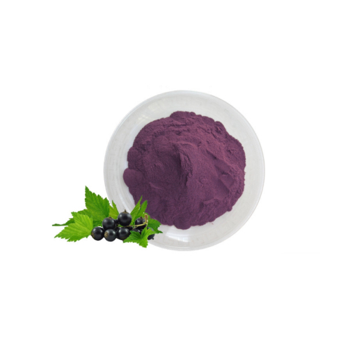 Blackcurrant Juice Powder