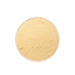 Noni Juice Powder